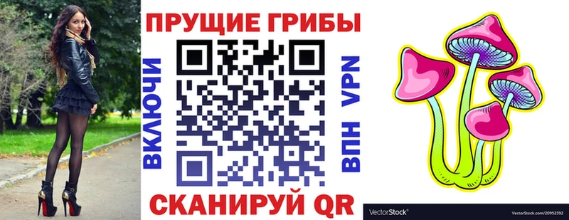 цена   Кола  Псилоцибиновые грибы GOLDEN TEACHER 
